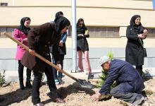 گزارش تصویری مراسم روز درخت کاری در دانشگاه  با حضور ورزشکاران ملی پوش شهرستان شاهرود  